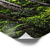Grünes Wasserfallrefugium Poster (Ecke)