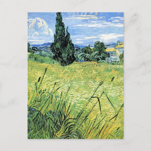 Grünes Weizenfeld mit Zypresse, Postkarte (Vorderseite)