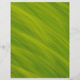 Grünes Weizenfeld Scrapbook Papier 2-seitige Seite