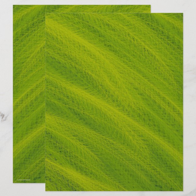 Grünes Weizenfeld Scrapbook Papier 2-seitige Seite (Vorne/Hinten)