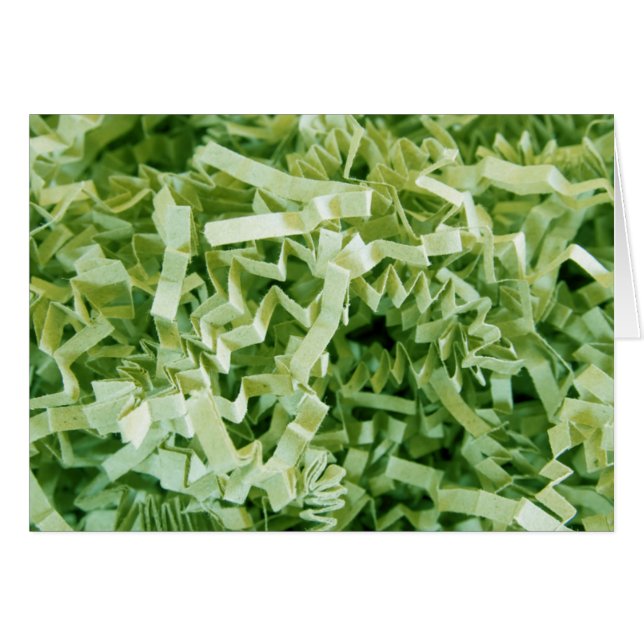 Grünes, zerkleinertes Papier, Foto eingeklemmt, in (Vorderseite (Horizontal))