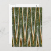 Grünfeuer Postkarte (Vorne/Hinten)