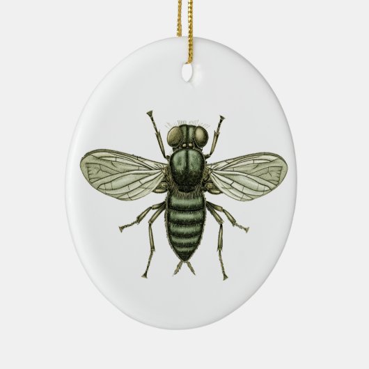 Grünfliege Keramik Ornament (Rechts)