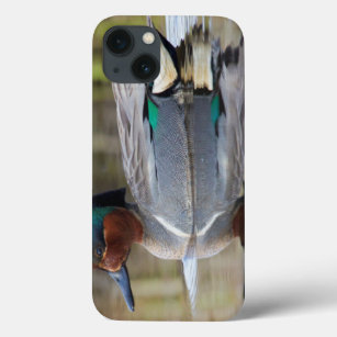 Grünflügelige Aquamarin iPhone 13 Hülle