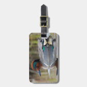 Grünflügelige Aquamarin Gepäckanhänger (Vorderseite vertikal)