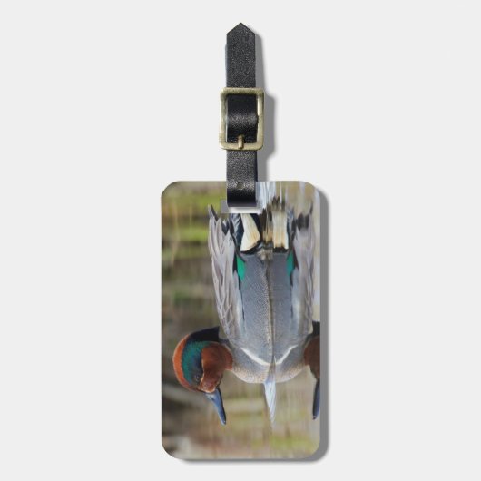 Grünflügelige Aquamarin Gepäckanhänger (Vorderseite vertikal)