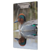 Grünflügelige Aquamarin Klemmbrett (Links)