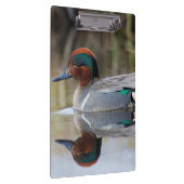 Grünflügelige Aquamarin Klemmbrett (Rechts)