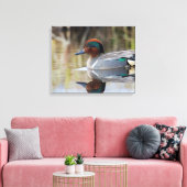 Grünflügelige Aquamarin Leinwanddruck (Insitu (Wohnzimmer))