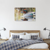 Grünflügelige Aquamarin Leinwanddruck (Insitu (Schlafzimmer))