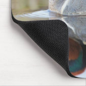 Grünflügelige Aquamarin Mousepad (Ecke)