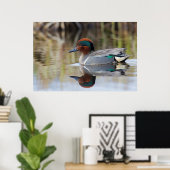 Grünflügelige Aquamarin Poster (Heimbüro)