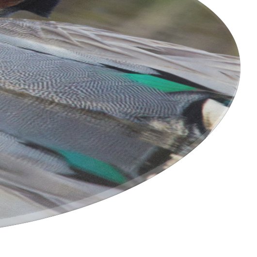 Grünflügelige Aquamarin Schneidebrett (Ecke)