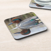 Grünflügelige Aquamarin Untersetzer (Linke Seite)