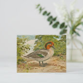 Grünflügelige Aquamarine Illustration Postkarte (Stehend Vorderseite)