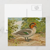 Grünflügelige Aquamarine Illustration Postkarte (Vorne/Hinten)