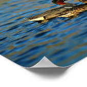 Grünflügeliges aquamarines Paar Poster (Ecke)