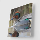 Grünflügeliges aquamarines quadratische wanduhr (Winkel)