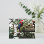 Grünflügelmaka #4 Postkarte (Stehend Vorderseite)