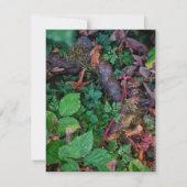 Grünfolie Einladung (Vorderseite)