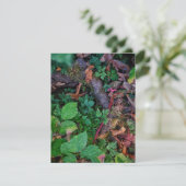 Grünfolie Einladung (Stehend Vorderseite)