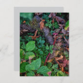 Grünfolie Einladung (Vorne/Hinten)