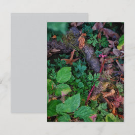 Grünfolie Einladung