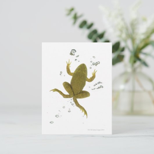 Grünfrosch Postkarte (Stehend Vorderseite)