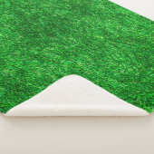 Grüngartenanlage Sherpadecke (3/4)