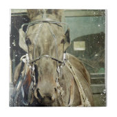 Grunge Amish Buggy Horse Fliese (Vorderseite)