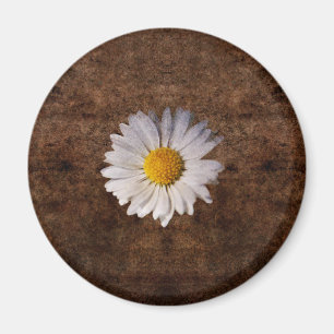 Grunge auf braunem Hintergrund Magnet