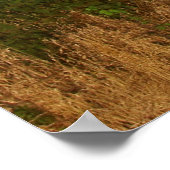 Grunge Barn Poster (Ecke)