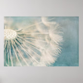 Grunge Dandelion Poster (Vorne)