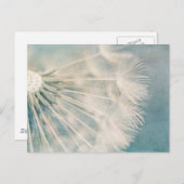 Grunge Dandelion Postkarte (Vorne/Hinten)