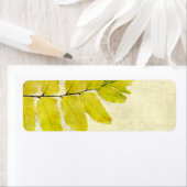 Grunge Design für Fern-Blätter (Insitu)