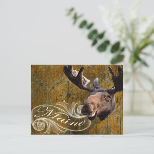 Grunge-Elch Postkarte (Stehend Vorderseite)