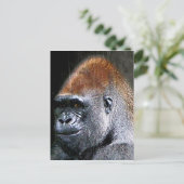 Grunge Lowland Gorilla Nah-up Face Postkarte (Stehend Vorderseite)