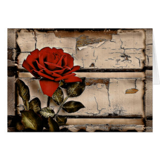 Grunge Not leidendes Barholz Rustikale Rote Rose