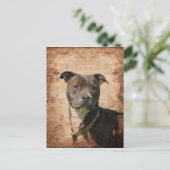 Grunge Pit Bull Terrier Postkarte (Stehend Vorderseite)
