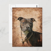 Grunge Pit Bull Terrier Postkarte (Vorne/Hinten)