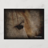 Grunge Postkarte (Vorderseite)