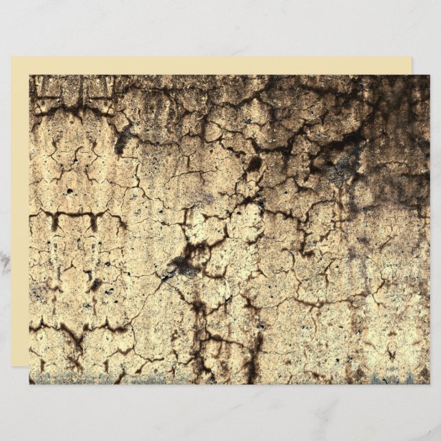 Grunge Rustikale Beige Brown Vintage Textur (Vorne/Hinten)