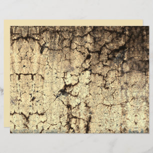 Grunge Rustikale Beige Brown Vintage Textur