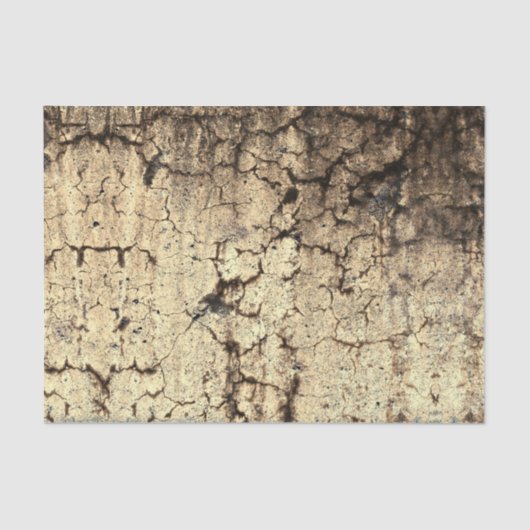 Grunge Rustikale Beige Brown Vintage Textur Seidenpapier (Vorderseite)