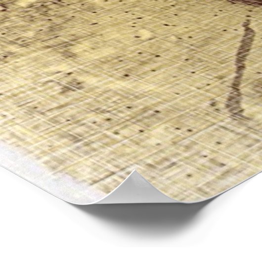 Grunge Skull Poster (Ecke)