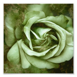 Grunge Texture Painted Rose Foto Print