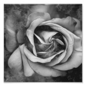 Grunge Texture Painted Rose Foto Print (Vorne)