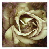 Grunge Texture Painted Rose Foto Print (Vorne)