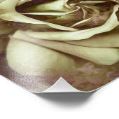 Grunge Texture Painted Rose Foto Print (Ecke)