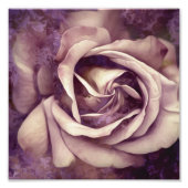 Grunge Texture Painted Rose Foto Print (Vorne)
